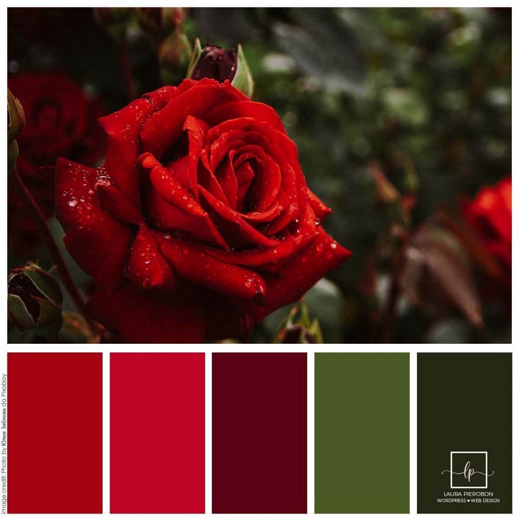 Palette colori di Febbraio 2021 © Laura Pierobon - WordPress ❤︎ Web Design