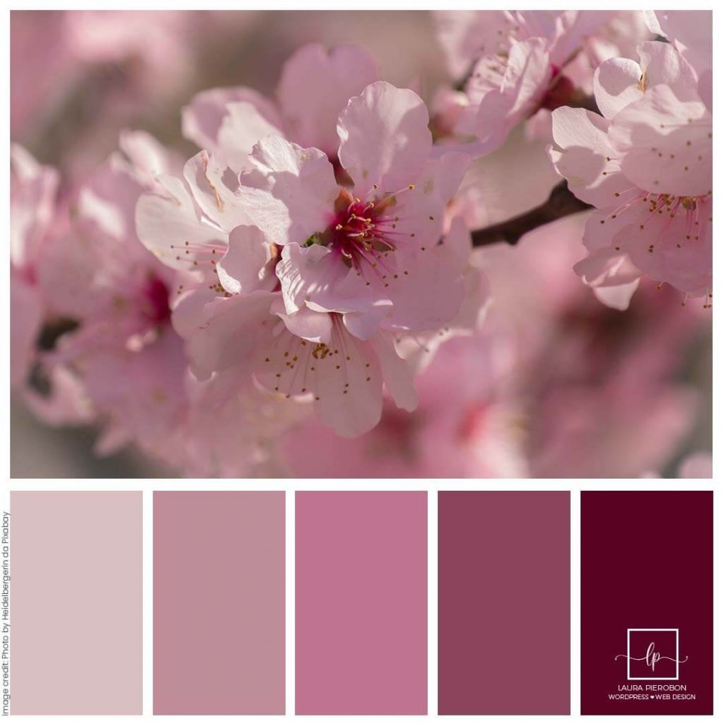 Palette colori di Aprile 2021 © Laura Pierobon - WordPress ❤︎ Web Design