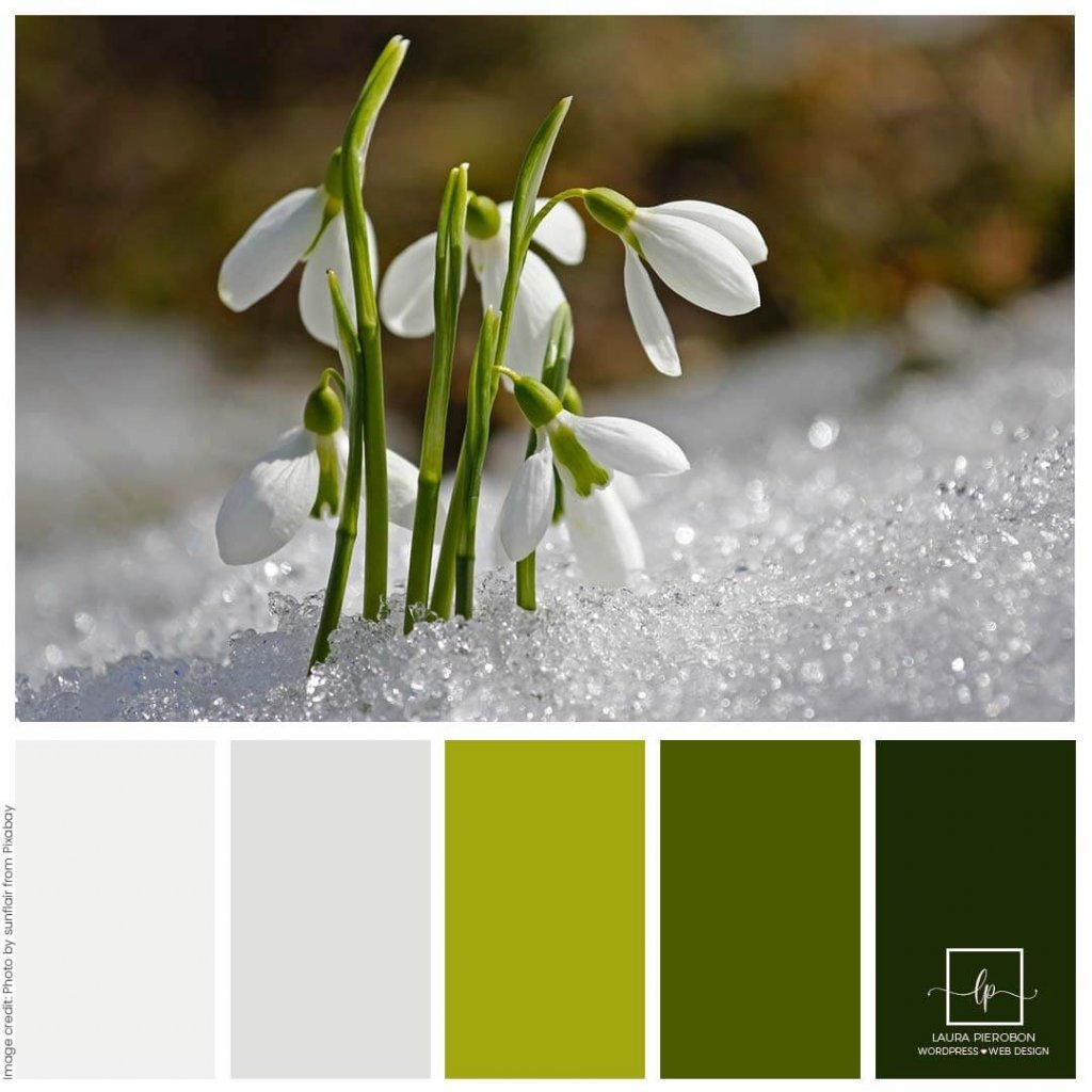 Palette colori di Febbraio 2022 © Laura Pierobon - WordPress ❤︎ Web Design